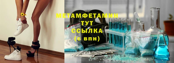 ПСИЛОЦИБИНОВЫЕ ГРИБЫ Няндома