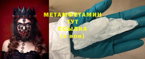 ПСИЛОЦИБИНОВЫЕ ГРИБЫ Няндома