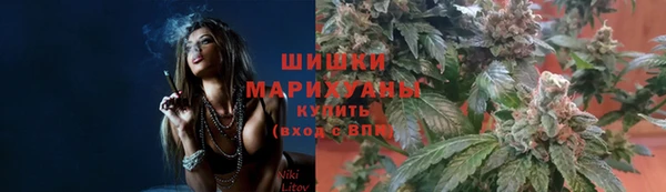 ПСИЛОЦИБИНОВЫЕ ГРИБЫ Няндома