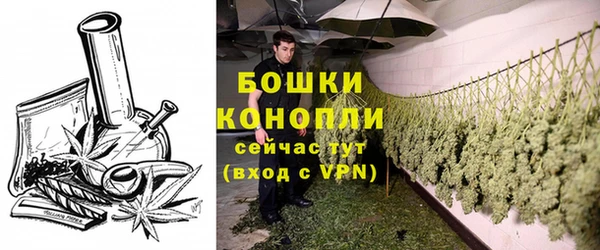 ПСИЛОЦИБИНОВЫЕ ГРИБЫ Няндома