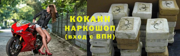 ПСИЛОЦИБИНОВЫЕ ГРИБЫ Няндома